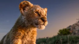 Der zuk&uuml;nftige K&ouml;nig der Tiere: Simba
