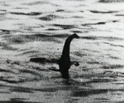 Schottland, August, 1934, Ein Foto, das angeblich das Ungeheuer von Loch Ness zeigt. Dieses Foto wurde viele Jahre sp&auml;ter als F&auml;lschung entlarvt