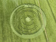 Es gibt &uuml;ber 10.000 Meldungen von Kornkreisen aus 50 verschiedenen L&auml;ndern. Diese seltsamen Gebilde k&ouml;nnen einfache Kreise sein, aber auch komplexe Formen von immenser Gr&ouml;&szlig;e vorweisen. Die Ph&auml;nomene werden mit wissenschaftliche Absonderheiten, merkw&uuml;rdigen Lichtern und UFO-Landungen in Verbindung gesetzt.