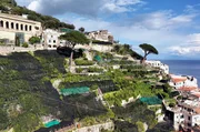 Die Amalfi-Zitrone w&auml;chst auf den vielen &bdquo;Terrazzamenti", Terrassen mit Trockensteinmauern, die die H&auml;nge vor Erosion sch&uuml;tzen.