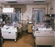 Tatort S&auml;uglingsstation: In der Frauenklinik in Leipzig werden von 1985 bis 1986 S&auml;uglinge mit dem Herzmedikament Digitoxin vergiftet.