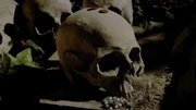 Dieses Bild zeigt menschliche Schädel in einer Katakombe oder einem Beinhaus, vermutlich in Europa. Das Auflegen von Münzen auf die Schädel ist ein gängiger Brauch, der mit der Ehrung der Toten oder als symbolische Opfergabe verbunden ist. Dieses Bild zeigt menschliche Schädel in einer Katakombe oder einem Beinhaus, vermutlich in Europa. Das Auflegen von Münzen auf die Schädel ist ein gängiger Brauch, der mit der Ehrung der Toten oder als symbolische Opfergabe verbunden ist.