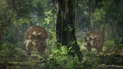 Schicksalsplanet-Katastrophen der Erdgeschichte Staffel1 EP Episode 4 Im heutigen Nordamerika lebte vor etwa 70 Millionen Jahren der bis zu 12 Tonnen schwere Pflanzenfresser Triceratops, was so viel bedeutet wie &bdquo;Dreihorngesicht&ldquo;; Schicksalsplanet-Katastrophen der Erdgeschichte Staffel1 EP Episode 4 Im heutigen Nordamerika lebte vor etwa 70 Millionen Jahren der bis zu 12 Tonnen schwere Pflanzenfresser Triceratops, was so viel bedeutet wie &bdquo;Dreihorngesicht&ldquo;