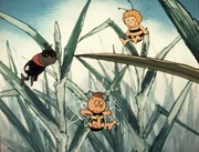 Alles ist an diesem Tag durcheinander, und der arme Willie wird auch noch von einem Wassertropfen getroffen. Alles ist an diesem Tag durcheinander, und der arme Willie wird auch noch von einem Wassertropfen getroffen.