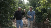Israel/Westjordanland: ORF-Israel Korrespondent David Kriegleder und Plantagen-Leiter Eyal Schlein inmitten der 150 Hektar großen Avocado-Anbaufläche der Firma Granot. Israel/Westjordanland: ORF-Israel Korrespondent David Kriegleder und Plantagen-Leiter Eyal Schlein inmitten der 150 Hektar großen Avocado-Anbaufläche der Firma Granot.