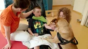 Therapiehund "Jake" wird vor allem bei Kindern im Wachkoma eingesetzt.