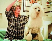 Neben den beiden Kindern toben bei James (John Travolta) und Mollie (Kirstie Alley) nun auch noch zwei Hunde herum: eine affektierte Pudeldame und ein r&auml;udiger Stra&szlig;enk&ouml;ter. Doch Molly besch&auml;ftigen noch ganz andere Probleme. Sie hat ihren Job verloren, w&auml;hrend James Privatpilot geworden ist _ und seine neue Chefin versteht unter Diensterf&uuml;llung mehr als nur Fliegen.