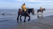 Am Strand von Ostd&uuml;nkirchen an der belgischen K&uuml;ste wird noch ein uraltes Handwerk betrieben: das Fischen zu Pferd. Heute ist es Unesco-Weltkulturerbe.