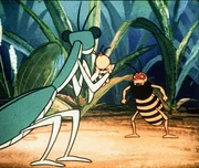 Die Gottesanbeterin hat Willie gefangen, aber der neue Freund ist stark und hilft. Die Gottesanbeterin hat Willie gefangen, aber der neue Freund ist stark und hilft.