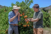 Der Lebensmittelunternehmer Franz Kraus (li.) ist Orangenbauer mit Herz und Seele. Seit 36 Jahren lebt er auf Mallorca.