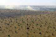In der Trockenzeit wird das Buschland zum Pulverfass: Die Buschfeuer zerst&ouml;ren jedes Jahr mehrere tausend Hektar an Lebensraum.
