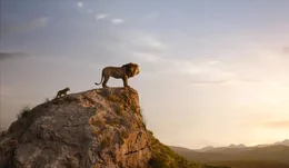 L - R: Simba, Mufasa