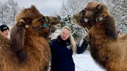 SRF bi de L&uuml;t &ndash; Echte Tierhelden Zoo Zahir: Anita Hirschi mit den Kamelen Taron (l.) und Aladin (r.) 2021