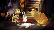 v.li.: Chester, Bunnicula, Harold