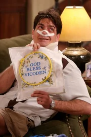 Bei einer Pr&uuml;gelei mit seinem Nachbarn Steven Tyler, hat Charlie (Charlie Sheen), den K&uuml;rzeren gezogen ...