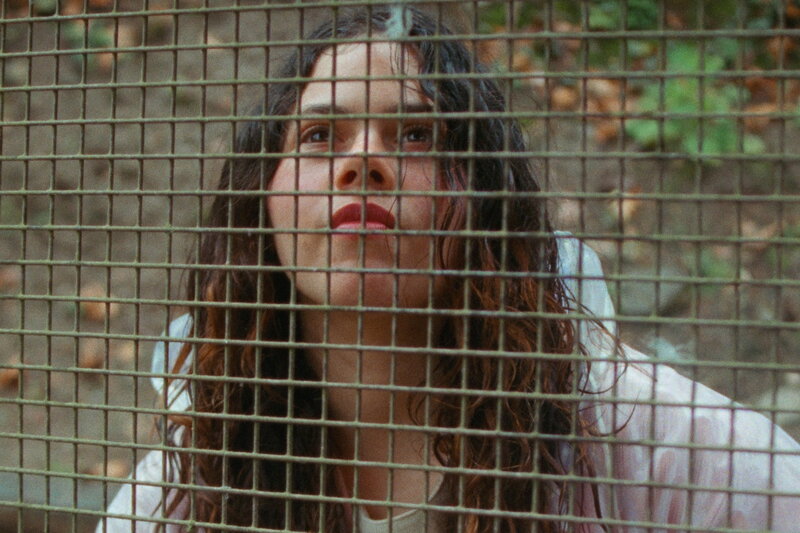 Wildblume (CH, 2024)