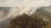 Vögel kreisen über den Waldbränden in Nord-Australien.