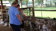 Michael and Amy visit goats at Southern Belle farm.