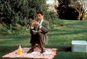 Picknick mit Hindernissen: Mr. Bean (Rowan Atkinson) nimmt den Kampf mit einer Biene auf.