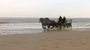 Die autofreie Nordseeinsel braucht neue Kutscher. Bei der Ausbildung zur sogenannten "Gespannf&uuml;hrerin" am Strand macht Neuling Patrizia Schl&uuml;tter erste Erfahrungen.