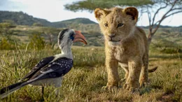 L-R: Zazu und Simba