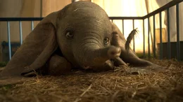 Dumbo