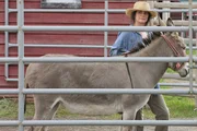 Mit ihrem Esel hilft Sarah Craven (Alberta Watson) Amy bei einem Problempferd