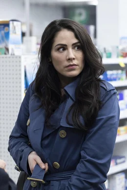 Karen (Michelle Borth)
