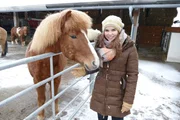 Minusgrade und Schneestürme machen Isländern dank ihres dichten Fells nichts aus. Minusgrade und Schneestürme machen Isländern dank ihres dichten Fells nichts aus.