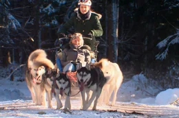 Hundeschlitten : Einfach traumhaft &ndash; eine Schlittenhundefahrt im Schwarzwald