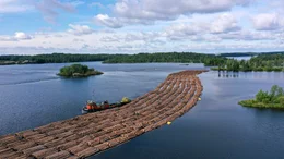 Das Holzflo&szlig; am Ziel der Reise, die Zellstofffabrik in Lappeenranta.