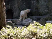 Tundra On Exhibit