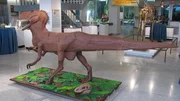 Dinosaur cake. Dinosaur cake.