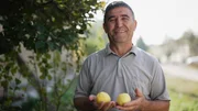 Zu Tisch Usbekistan Bahriddin zeigt stolz seine Quitten Zu Tisch Usbekistan Bahriddin zeigt stolz seine Quitten