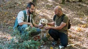 Zu Tisch Meteora – Griechenland Nikos und sein Cousin loben den erfolgreichen Trüffelhund Hermes Zu Tisch Meteora – Griechenland Nikos und sein Cousin loben den erfolgreichen Trüffelhund Hermes