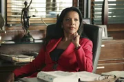 Der neue Captain im Revier: Victoria Gates (Penny Johnson)