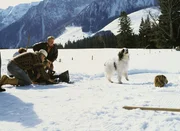 Dreharbeiten zu Willy Wuff Dreharbeiten zu Willy Wuff