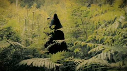 Aus dem Namen "Hobbit", der dem Professor Tolkien zuf&auml;llig in den Sinn gekommen war, lie&szlig; er ein ganzes V&ouml;lkchen entstehen: friedfertige Wesen mit pelzbedeckten F&uuml;&szlig;en.