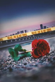 City Confidential Season9 City Confidential - Verbrechen nebenan Staffel9 KEY