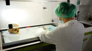 Molekularbiologin extrahiert DNA aus alten Knochen, Labor Parson/Innsbruck. Es konnte z.B. das Skelett des „Schinderhannes“ – seit 1803 in der Sammlung Uni Heidelberg – eindeutig zugeordnet werden. Molekularbiologin extrahiert DNA aus alten Knochen, Labor Parson/Innsbruck. Es konnte z.B. das Skelett des „Schinderhannes“ – seit 1803 in der Sammlung Uni Heidelberg – eindeutig zugeordnet werden.