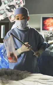 Bereitet eine Niere für die Domino-Operation vor: Cristina (Sandra Oh). Bereitet eine Niere für die Domino-Operation vor: Cristina (Sandra Oh).