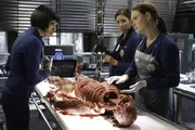 BONES: L-R: Cam (Tamara Taylor), Angela (Michaela Conlin) and Brennan (Emily Deschanel) examine the remains found on top of the canopy in Angela and Hodgins bedroom in the "The Corpse in the Canopy" episode of BONES.
