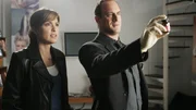 Die Ermittler Olivia Benson (Mariska Hargitay) und Elliot Stabler (Christopher Meloni) finden heraus, dass das Opfer vergiftet wurde. Zunächst gerät der Ehemann unter Verdacht... Die Ermittler Olivia Benson (Mariska Hargitay) und Elliot Stabler (Christopher Meloni) finden heraus, dass das Opfer vergiftet wurde. Zunächst gerät der Ehemann unter Verdacht...