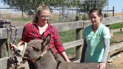 Jenny Zeller and Amy work at the mini donkey ranch.
