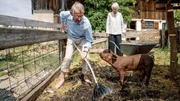 Das ältere Gästepaar Hans (Hark Bohm) und Margarethe Bosch (Christine Ostermayer) kümmern sich um Ferkel Constanze. Das ältere Gästepaar Hans (Hark Bohm) und Margarethe Bosch (Christine Ostermayer) kümmern sich um Ferkel Constanze.
