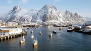 Auf den Lofoten findet die weltweit gr&ouml;&szlig;te Fischerei von Kabeljau statt. Mehr als 65.000 Tonnen Fisch waren es im vergangenen Jahr.