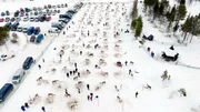 Rentiere mit ihren Besitzern vor dem Rennen von oben auf einem Platz.