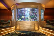 The team builds an acrylic waterfall for a memorial, Las Vegas.