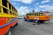 Die farbenfrohen Busse pr&auml;gen das Stra&szlig;enbild der Samoa-Inseln. Die Fahrzeuge werden vor Ort auf der Basis von Pick-ups montiert.