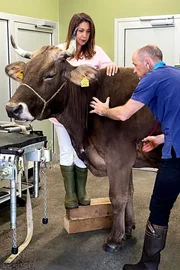 Tier&auml;rztepaar Patty und Thomas Stadler betreiben eine Gross- und Kleintierpraxis in Altdorf, UR.